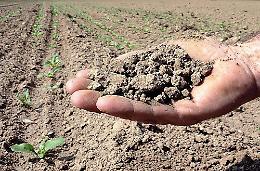 Agricoltori preoccupati: «Se non pioverà, per le nostre colture sarà un disastro»