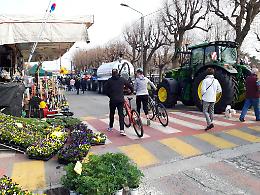 Domenica di festa a Sant'Albano: è tornata la tradizionale Fiera