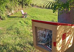 “Libera un libro”: leggere e scambiarsi letture, seduti sulla big bench di Cigliè