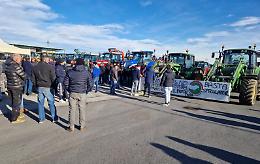 La protesta del mondo agricolo: «Costi di produzione sproporzionati e concorrenza sleale»