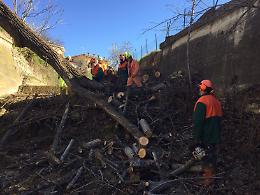 Mappatura dei rii minori in 105 Comuni: un maxi progetto, ancora di grande attualità