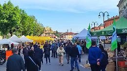 A Mondovì un unico "ente manifestazioni": nasce la Fondazione