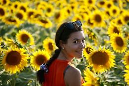 “Girasoli a Farigliano”: «Quest’anno i prati fioriti saranno ancora di più»