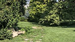 Piantare alberi: ecco come