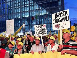 Oltre 6 mila agricoltori in piazza per dire “Basta cinghiali!”