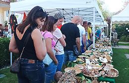 Calizzano: i funghi tornano in piazza e accendono... la festa