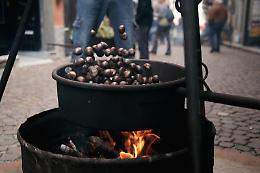 A Garessio economia circolare tra castagne, castagnate e beneficenza!
