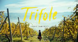 “Trifole – Le radici dimenticate”: al cinema il nuovo film che celebra le Langhe