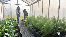 Al CFP di Mondovì la serra didattica per studiare le biodiversità