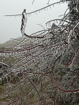Gelicidio in corso sui colli della Valle Tanaro