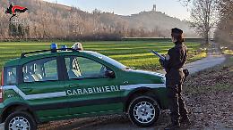 Carabinieri Forestali, calano gli illeciti ma aumentano le sanzioni