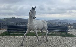 Omaggio alla sua infanzia: a Murazzano il cavallo di Napoleone di Franco Alessandria