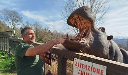 Alla scoperta del Parco Safari di Murazzano: il nostro viaggio dietro le quinte