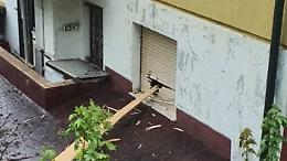 Fulmine abbatte un albero: paura a Viola, danni a un condominio