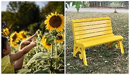 Festa d'estate a Farigliano: torna la “Notte gialla” con una... "small big bench"