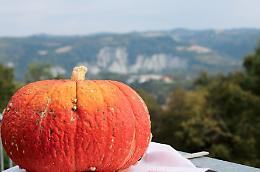 Traguardo storico: dal 2026 la Fiera della Zucca di Piozzo diventa "nazionale"