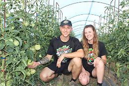 Nella serra di Stefano e Alessia, "influencer" agricoltori