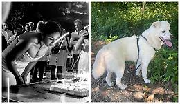 Il compleanno benefico di Lidia: raccolti oltre 2 mila euro per i cani del canile "281"