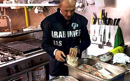 Prodotti mal conservati e lavoratori in nero, la stangata dei  Carabinieri 