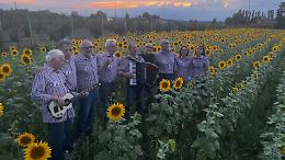 Tra i girasoli al tramonto, i "Gat Ross" cantano la bellezza delle Langhe