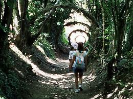 Nel bosco incantato del Sarvanòt: un’avventura per famiglie, tra natura e leggende