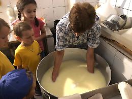Imparare a mungere e  a fare il formaggio in uno dei Comuni più piccoli d'Italia
