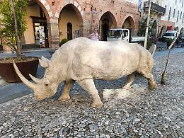 Nella piazza storica arriva la scultura di un rinoceronte: ecco che cosa rappresenta
