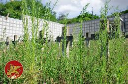 Le Croci Bianche del Cimitero sono diventate nere