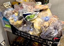 Bar, ristoranti e ortofrutta con cibi scaduti, mal conservati o non tracciati
