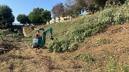 Il mega intervento di pulizia della "selva incolta" a Mondovì - LE FOTO