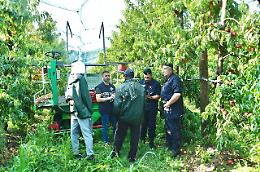 Caporalato, 5 aziende agricole irregolari: lavoratori in nero e anche un clandestino
