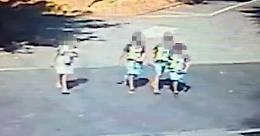 Tre minori allontanati dalle famiglie, il quarto irreperibile. Hanno investito e ucciso la 71enne di Milano