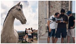 Quando il falso incontra la storia: il Cavallo di Napoleone al "Documenteur Filmfest"