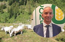 Allarme siccità in quota: Confagricoltura Cuneo valuta una deroga alla discesa delle mandrie