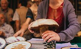 Settembre Cebano: tra cultura, musica e… funghi
