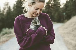 “Diploma di lingua felina”: un corso per capire davvero il tuo gatto