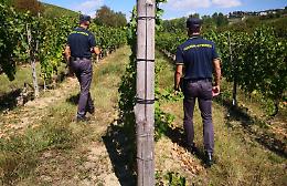 Lavoro in nero, la stretta della Guardia di Finanza: sanzioni per tre imprenditori 
