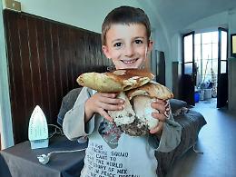 Piccolo cercatore inizia alla grande la stagione dei funghi con un porcino "gemello"

