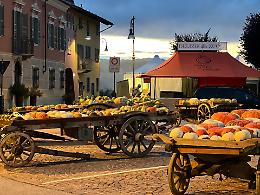 La Fiera della Zucca di Piozzo "studia da grande" e si presenta... a Torino