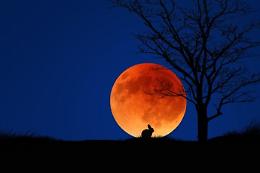La "Luna di sangue" nel cielo italiano: eclissi totale domenica 7 settembre