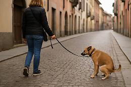 Protesta con feci di cane contro parrocchia e biblioteca: condannata la ribelle "no vax"