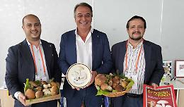 Il fungo cebano “sale” sul grattacielo della Regione!