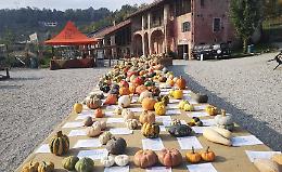 Zucca Party: laboratori, mostre e prelibatezze, aspettando la grande Fiera