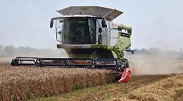 Crolla il prezzo del grano, 28 euro in meno al quintale: «Fermate le importazioni selvagge» 