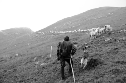 La vita delle valli alpine piemontesi, attraverso gli scatti di Gian Andrea Porro