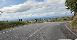 Sicurezza sulle strade "dei motociclisti" nelle Langhe: oltre 2 km di nuove barriere