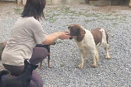 “Cani… e padroni di cani”: imparare a tenere un cane “responsabilmente”