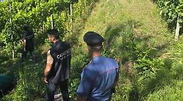Lavoro nero e irregolarità nei campi: 7 aziende su 10 controllate finiscono sotto sanzione in Granda