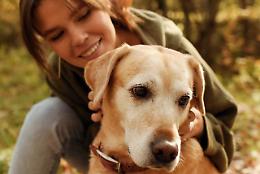  Sai davvero capire il tuo cane? Un corso gratuito per impararlo!