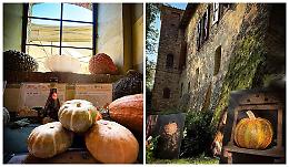 Un antico castello per le zucche di Piozzo